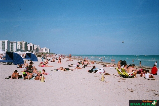 Galveston's Beaches là một bãi biển xinh đẹp nằm trên đào Galveston