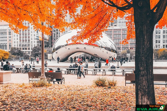 Nếu lỡ yêu thiên nhiên bạn có thể ghé thăm Chicago vào các tháng mùa thu