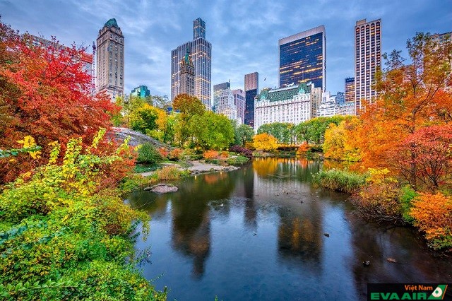 Central Park là điểm ngắm lá thu tuyệt vời ở New York mà bạn không nên bỏ qua