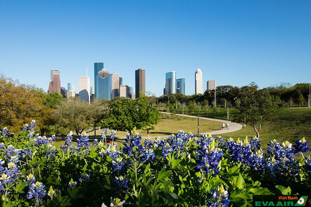 Các điểm du lịch ở Houston mùa xuân tuyệt vời nhất