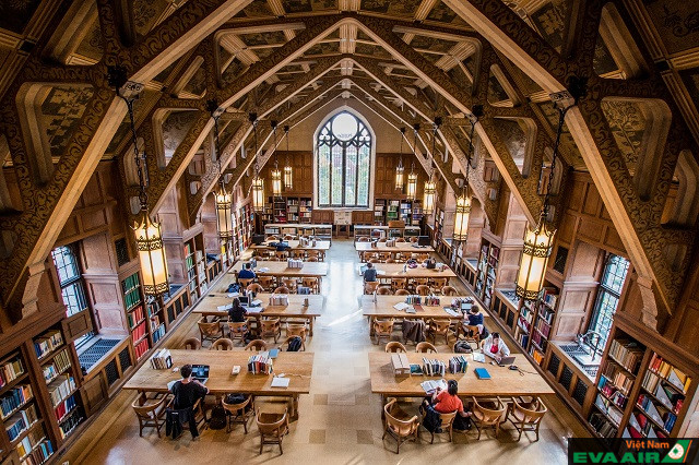 Thư viện Trường Đại học Chicago được thiết kế đặc biệt với lối kiến trúc cổ kính đầy tinh tế