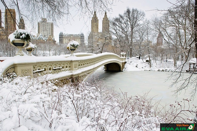 Central Park là một trong những điểm đến hàng đầu tại New York trong mùa đông này