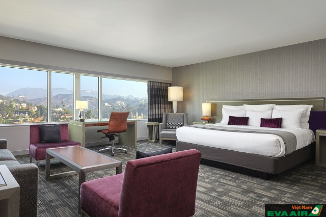 Các khách sạn ở khu vực Hollywood được thiết kế với các tiện nghi hiện đại, mang đến không gian lưu trú tốt nhất cho du khách