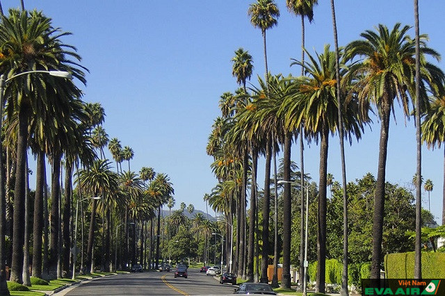 Beverly Hills là khu phố giàu có nhưng không kém phần xinh đẹp ở Los Angeles