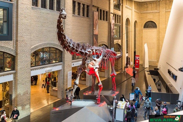Bộ xương khủng long được trưng bày trong bảo tàng Hoàng gia Ontario