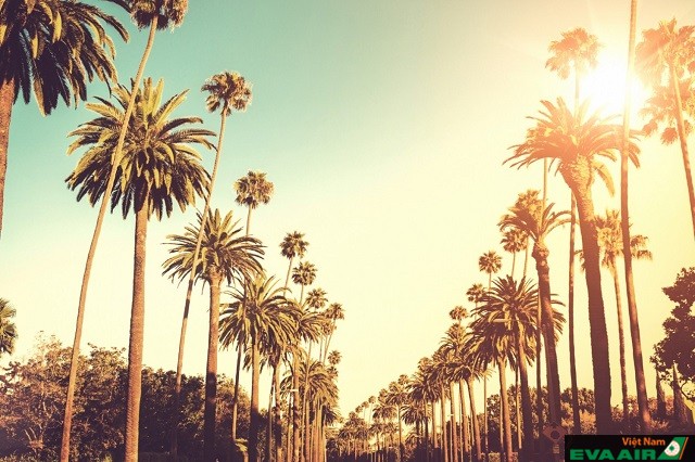 Mùa hè là thời điểm du lịch sôi động nhất ở Los Angeles