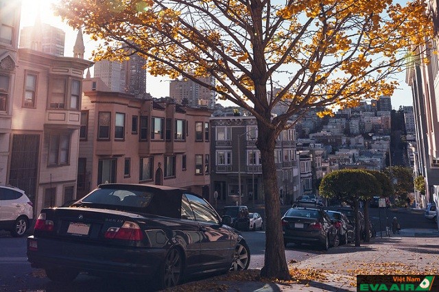 Khung cảnh mùa thu đầy lãng mạn ở San Francisco