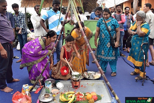 Cuộc thi nấu ăn đầy sôi nổi và hấp dẫn trong lễ hội Pongal tại khu Tiểu Ấn của Singapore