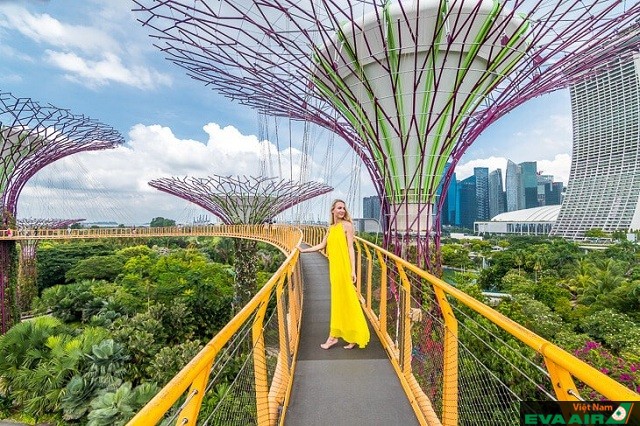 Gardens By The Bay là điểm tham quan tuyệt đẹp của Singapore