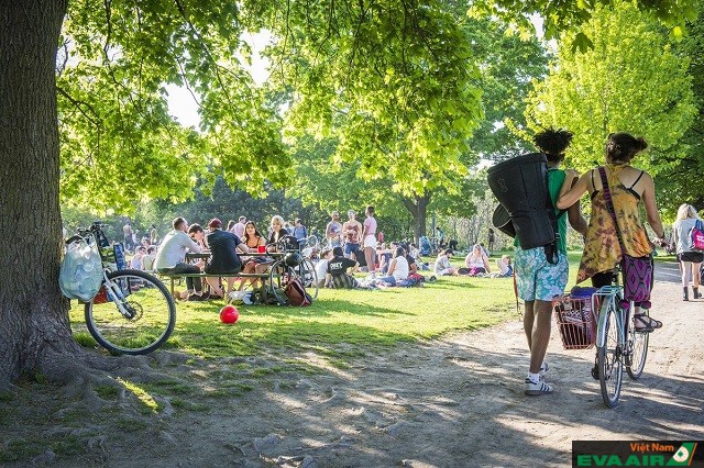 Trinity Bellwoods Park luôn được nhiều du khách lựa chọn để tổ chức dã ngoại mùa hè