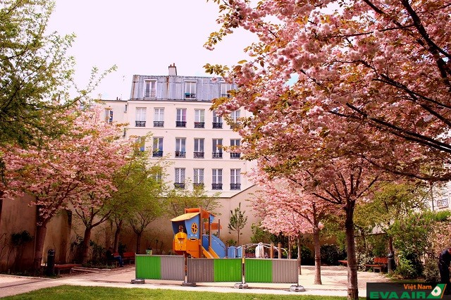 Những địa điểm tuyệt vời để ngắm vẻ đẹp thiên nhiên ở Paris