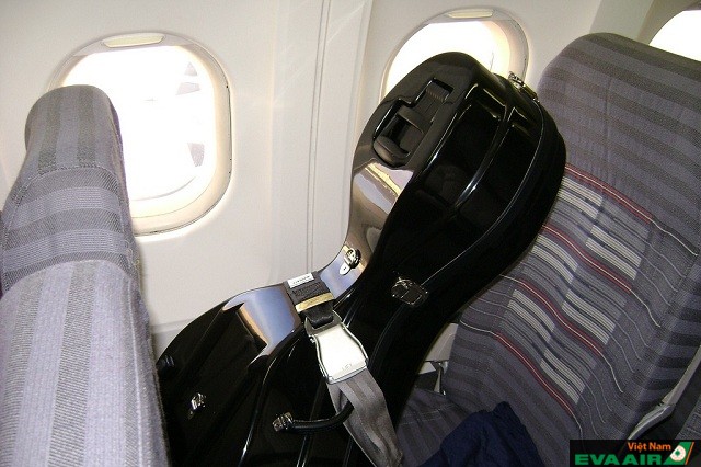 Nhạc cụ khi mang lên máy bay cần được đựng trong hộp, túi phù hợp