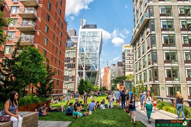 High Line Park là một công viên tuyệt đẹp mà bạn nên ghé đến