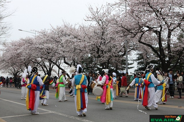 Bạn sẽ được hòa mình trong không khí sôi động của những lễ hội mùa xuân ở Seoul