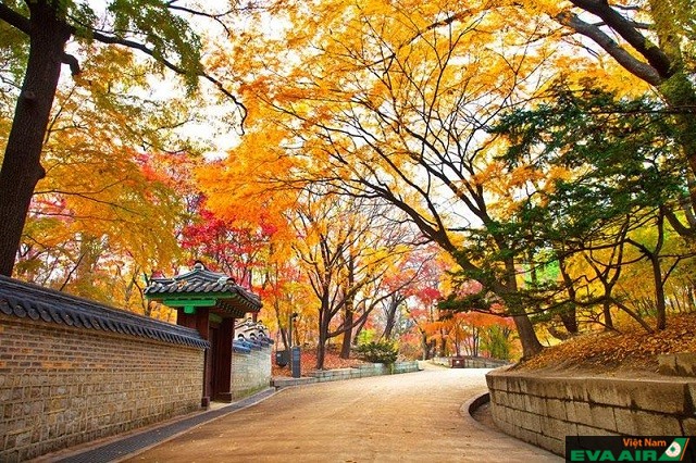 Bạn sẽ được thưởng ngoạn cảnh sắc mùa thu đẹp tựa tranh vẻ ở Seoul