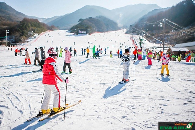 Bạn có thể hâm nóng cơ thể bằng hoạt động trượt tuyết