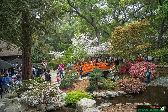 Các điểm du lịch ở Los Angeles vào mùa thu tuyệt vời nhất