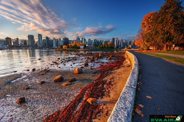 Mùa thu – Khoảng thời gian lãng mạn nhất tại Vancouver