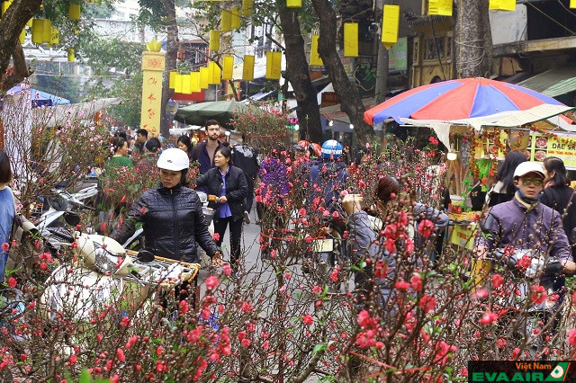 Hoa đào là loài hoa trang trí phổ biến vào ngày Tết Âm lịch ở Việt Nam