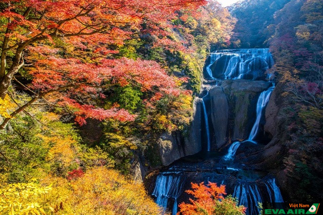 Lá thu điểm tô cho vẻ đẹp của thác Fukuroda tăng thêm bội phần