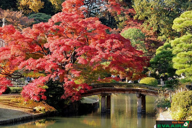 Vào mùa thu, lá cây đổi sắc tạo nên vẻ đẹp lãng mạn, rực rỡ thu hút du khách