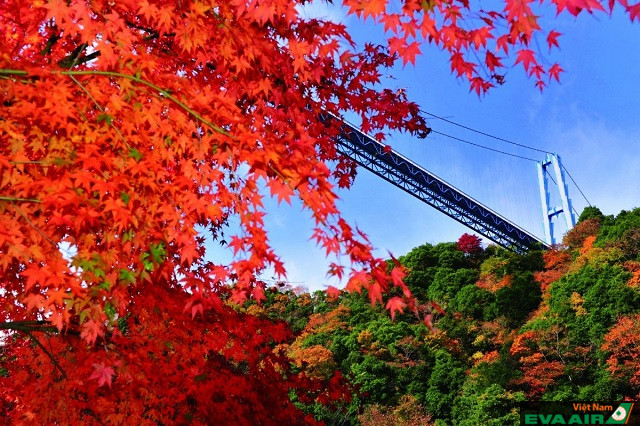 Cầu Ryujin là điểm ngắm mùa thu lý tưởng từ nhiều góc độ khác nhau