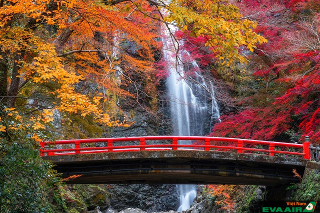 Những địa điểm ngắm lá đỏ đẹp nhất ở Osaka Nhật Bản vào mùa thu