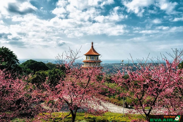 Ngoài tham quan và ngắm cảnh, đừng quên ghé thăm đền để được cầu may trong năm mới nhé!