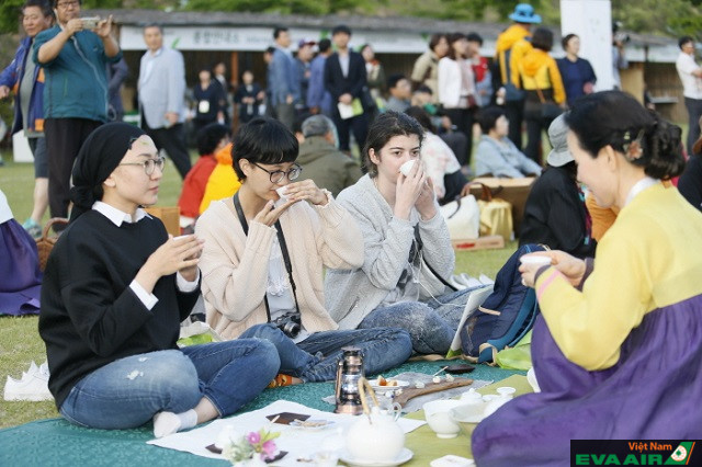 Lễ hội trà xanh là một sự kiện nổi bật trong mùa xuân ở Hàn Quốc mà bạn không nên bỏ lỡ