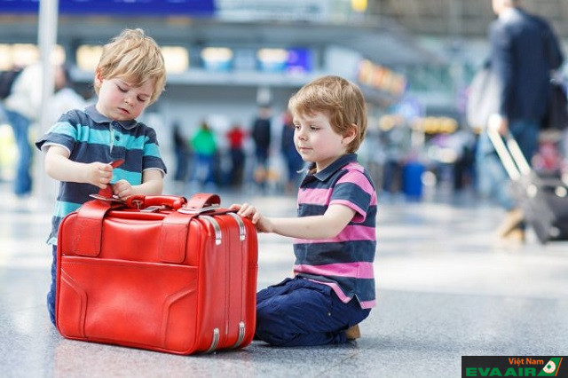 Bạn nên kiểm tra kỹ lưỡng các thông tin giá cả và quy định về hành lý khi đặt mua vé máy bay