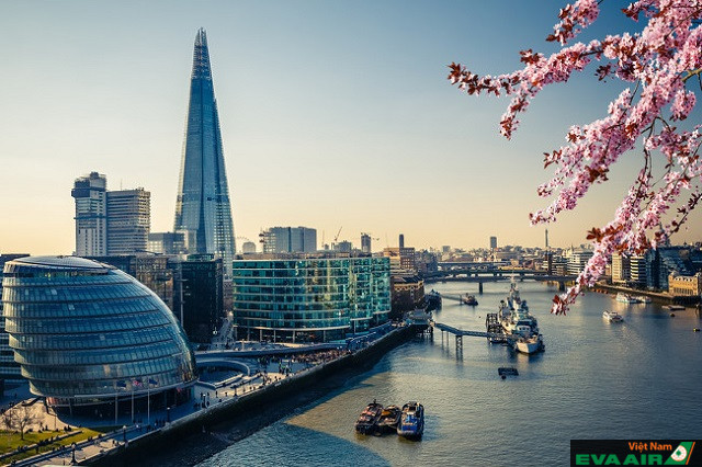 Bạn có thể chọn du thuyền trên sông Thames để khám phá vẻ đẹp của London