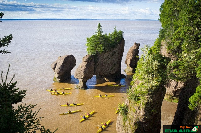 Vịnh Fundy là một địa điểm du lịch tự nhiên nổi tiếng ở Canada đáng để bạn khám phá