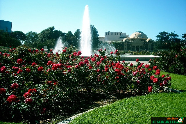 Exposition Park có một khu vườn hoa hồng tuyệt đẹp để bạn ngắm cảnh và check-in sống ảo