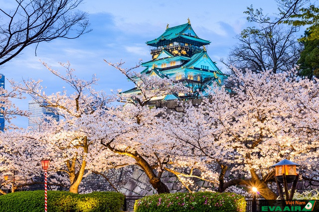 Lâu đài Osaka là một trong những điểm ngắm hoa anh đào đẹp nhất vào mùa xuân ở Nhật Bản
