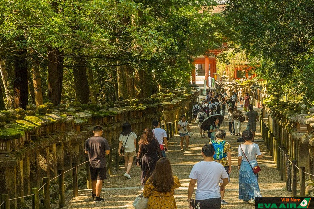 Công viên của cố đô Nara là một trong những địa điểm tham quan và thư giãn cuối tuần tuyệt vời nhất