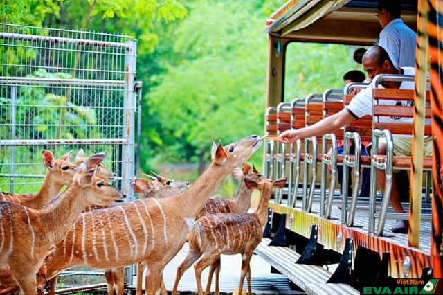 Nếu bạn là người yêu động vật và thích khám phá cuộc sống của chúng, hãy đến tham quan sở thú Chiang Mai