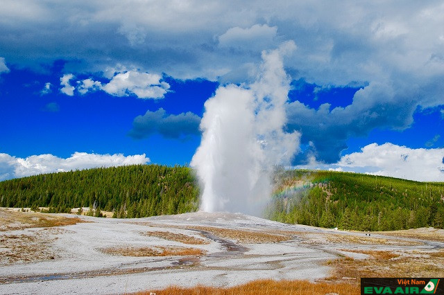 Old Faithful là mạch nước phun nổi tiếng nhất của Yellowstone