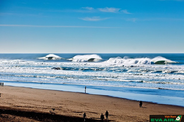 Những con sóng ở bãi biển Ocean mạnh và cao, thích hợp để những tay lướt sóng chuyên nghiệp đến chinh phục