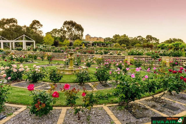 Centennial Park là một công viên tự nhiên nổi tiếng, nằm ngay giữa lòng thành phố xinh đẹp