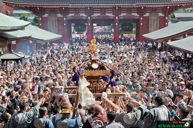 Bầu không khí của lễ hội Sanja Matsuri ở đền Asakusa Kannon