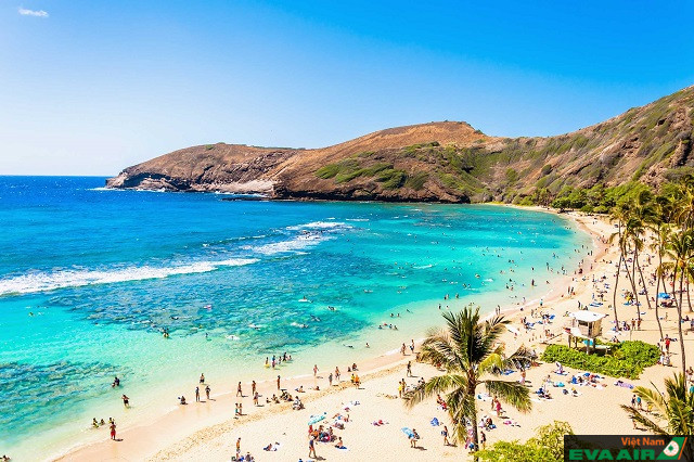 Ghé thăm những địa danh tuyệt vời nhất trên đảo Oahu – Hawaii
