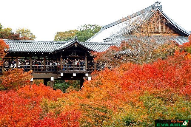 Cảnh sắc mùa thu tuyệt diệu tại đền Tofukuji