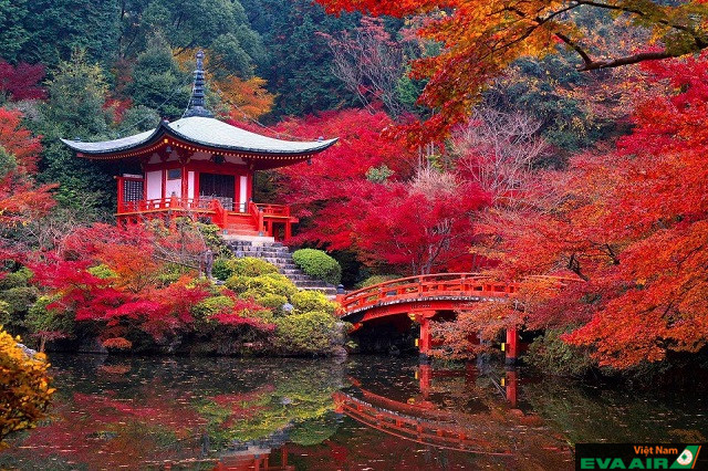 Khám phá 4 ngôi đền có kiến trúc đẹp nhất ở Kyoto