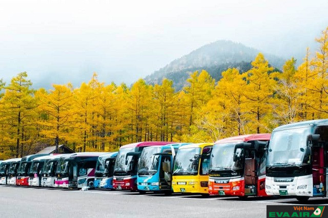 Đi xe buýt liên tỉnh sẽ giúp bạn ngắm được nhiều cảnh đẹp quyến rũ