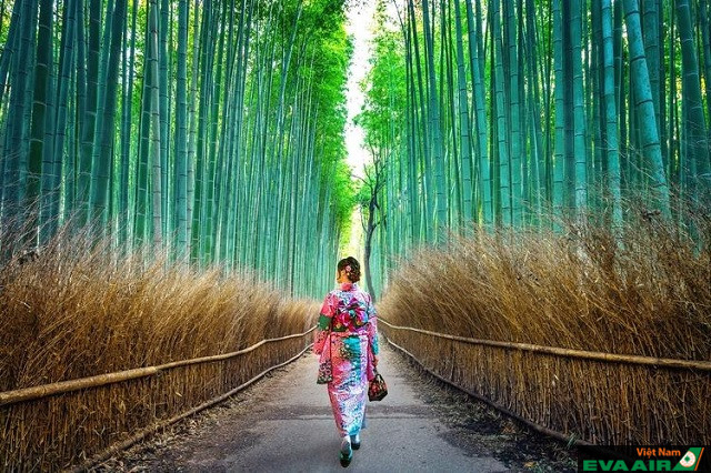 9 điểm du lịch sinh thái Nhật Bản thân thiện nhất