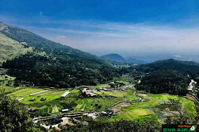Công viên quốc gia Yangmingshan là điểm đến thích hợp để khám phá vào mùa hè