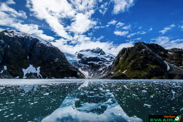 Vườn quốc gia Kenai Fjords có một nửa diện tích là các sông băng