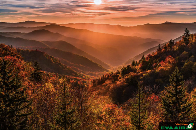 Bức tranh tự nhiên đa dạng và xinh đẹp tại vườn quốc gia Great Smoky Mountains