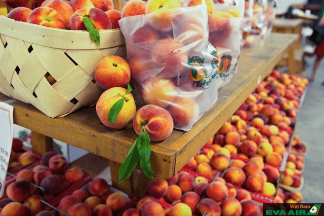 Georgia Peach Festival là lễ hội để tôn vinh đào và những người trồng đào