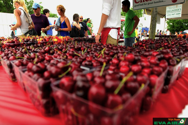 Với những tín đồ của cherry, National Cherry Festival là sự kiện tuyệt vời để tham gia